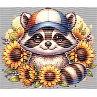 Raccoon-WX 222